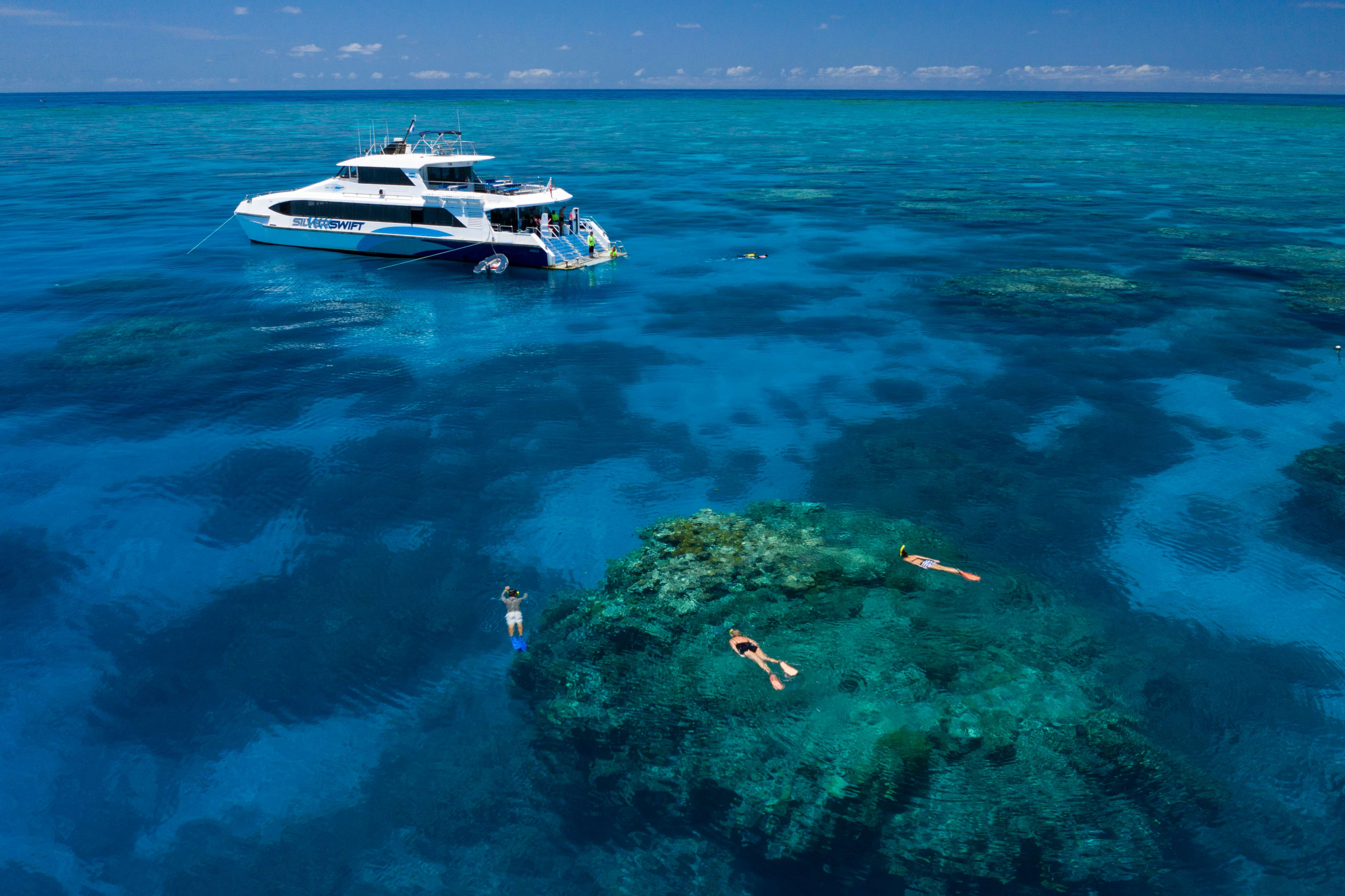 Snorkeling on the GBR